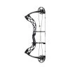 Bowtech Carbon Icon Compound Bow