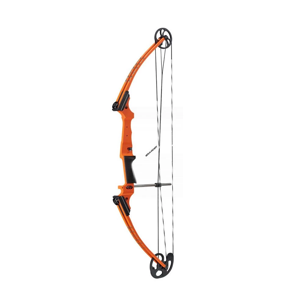 Mathews Genesis Compound Bow 1 Mathews Genesis Compound Bow